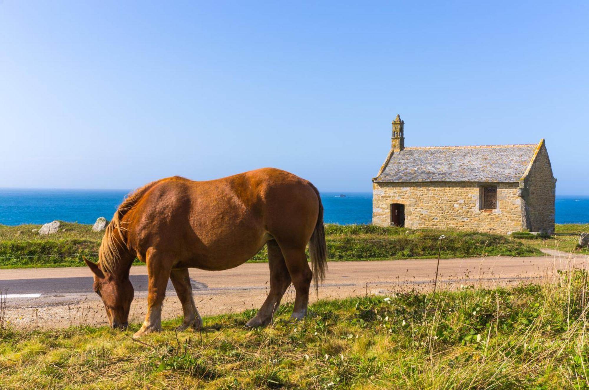 Ty Mor Bras - Maison Familiale A 2 Pas De La Plage Portsall Екстер'єр фото